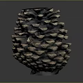 Pine Cone With Natural Scaly Brown Texture Isolated On Dark Background